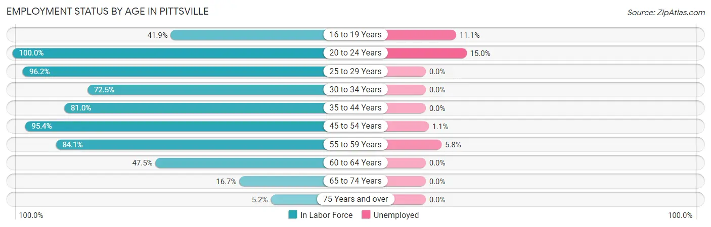 Employment Status by Age in Pittsville