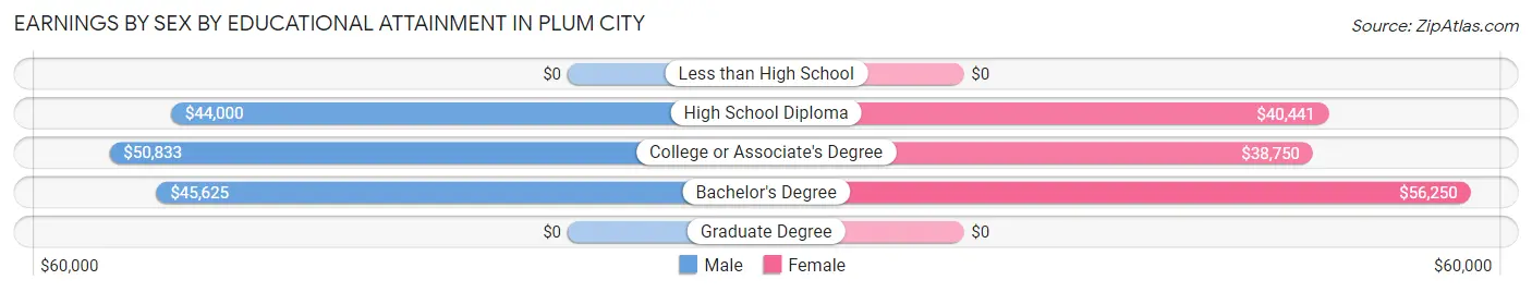 Earnings by Sex by Educational Attainment in Plum City