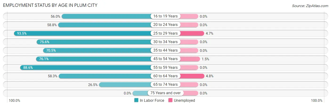 Employment Status by Age in Plum City