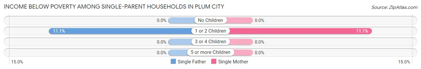 Income Below Poverty Among Single-Parent Households in Plum City