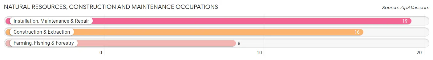 Natural Resources, Construction and Maintenance Occupations in Plum City