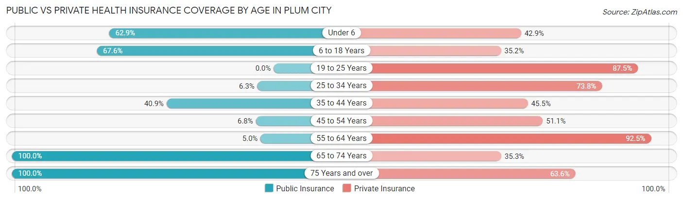 Public vs Private Health Insurance Coverage by Age in Plum City
