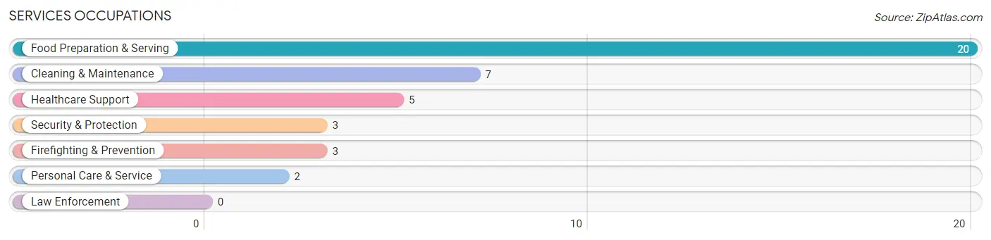 Services Occupations in Plum City