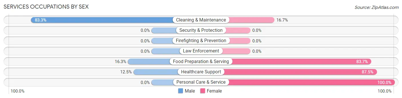 Services Occupations by Sex in Potosi