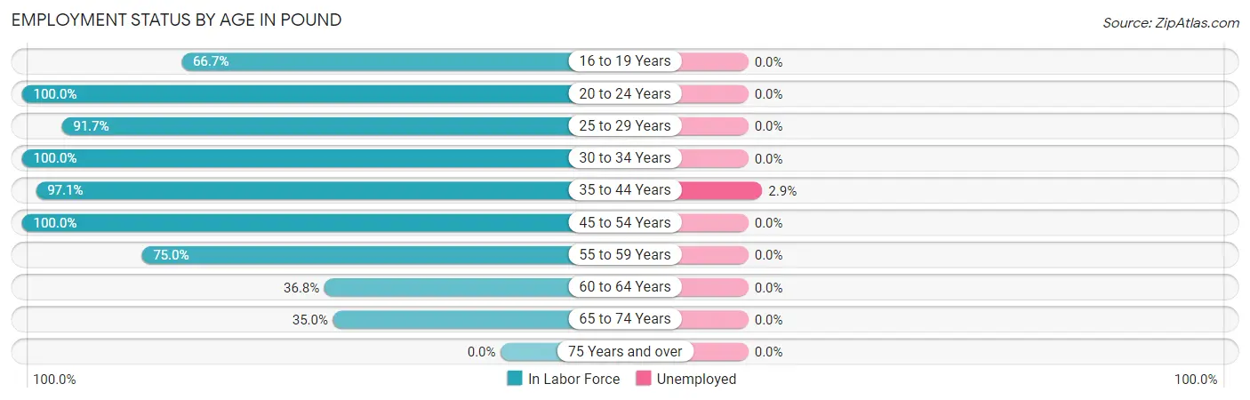 Employment Status by Age in Pound