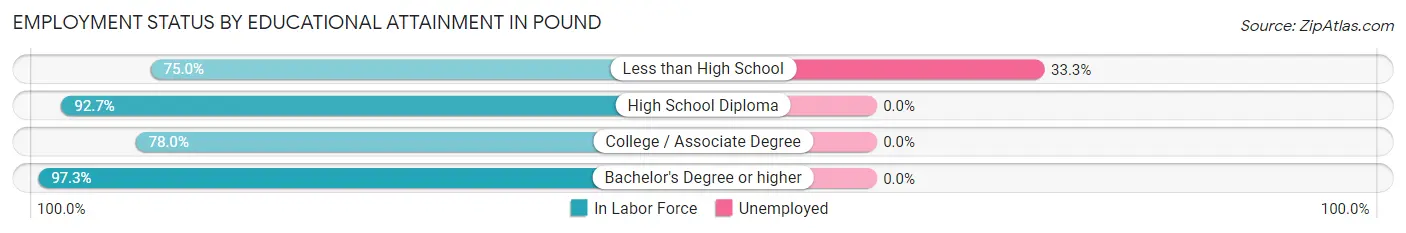 Employment Status by Educational Attainment in Pound