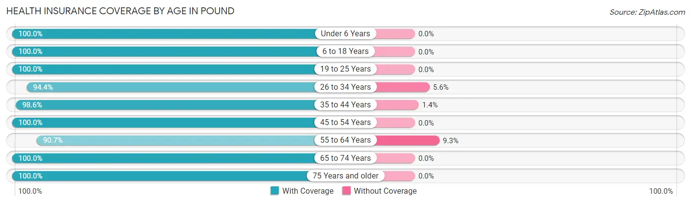 Health Insurance Coverage by Age in Pound