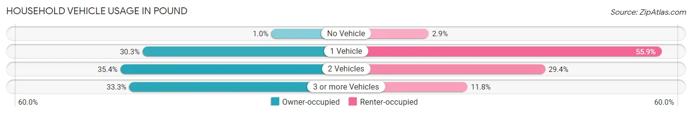 Household Vehicle Usage in Pound