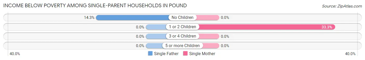 Income Below Poverty Among Single-Parent Households in Pound