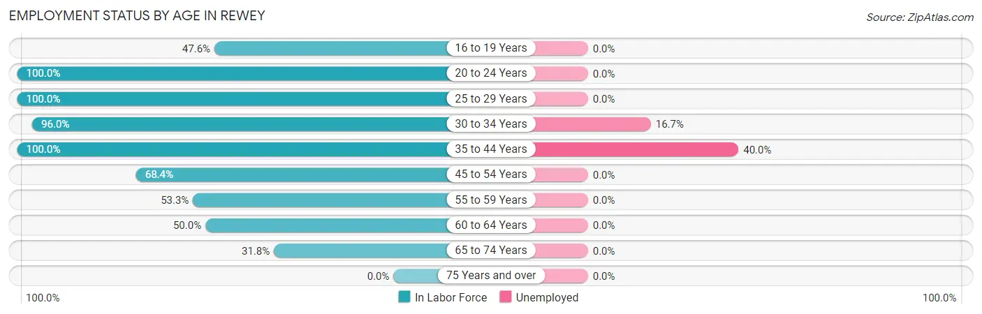 Employment Status by Age in Rewey