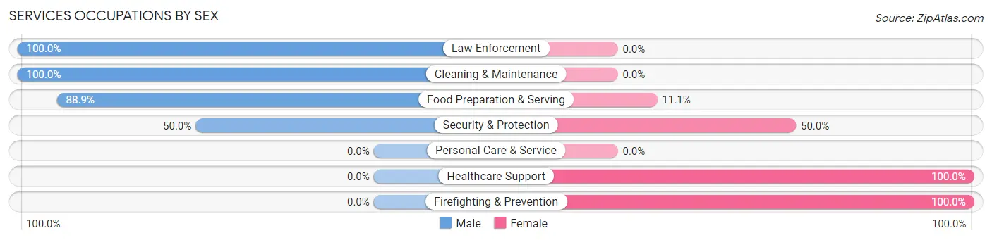 Services Occupations by Sex in Rewey