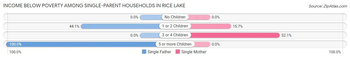 Income Below Poverty Among Single-Parent Households in Rice Lake