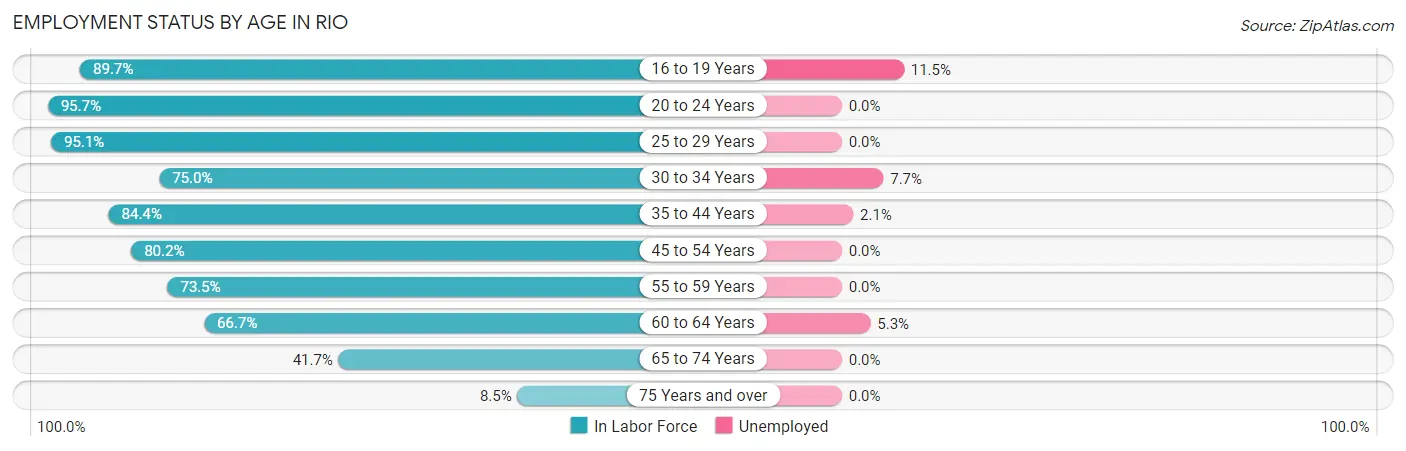 Employment Status by Age in Rio