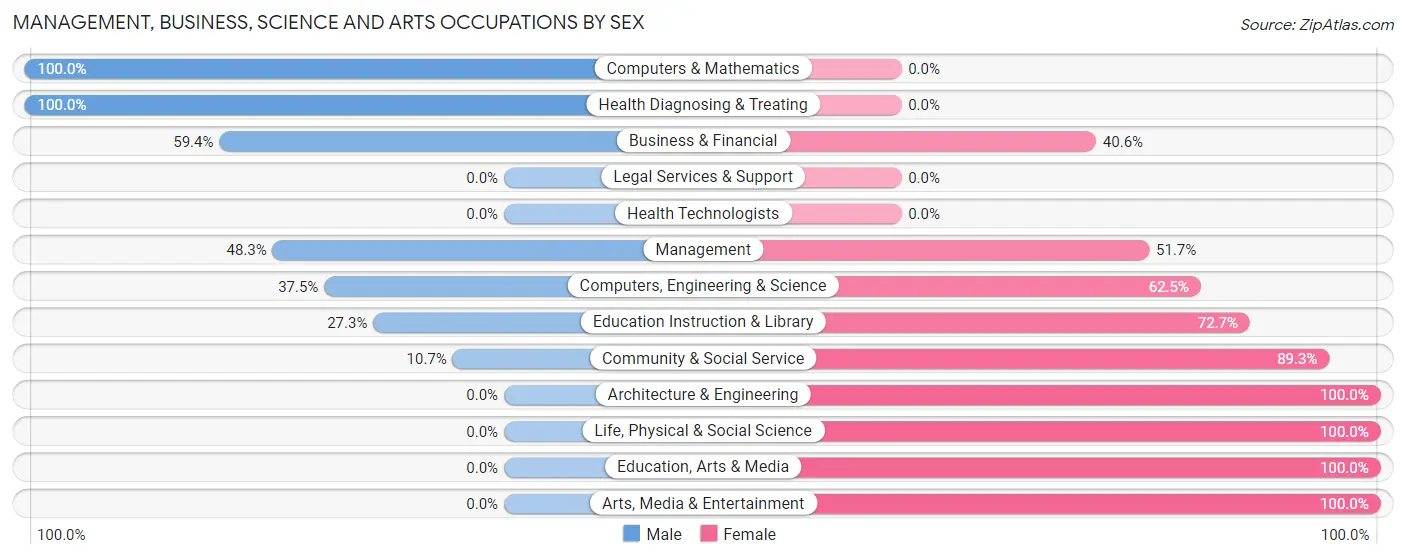 Management, Business, Science and Arts Occupations by Sex in Rio