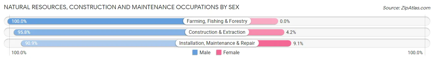 Natural Resources, Construction and Maintenance Occupations by Sex in Roberts