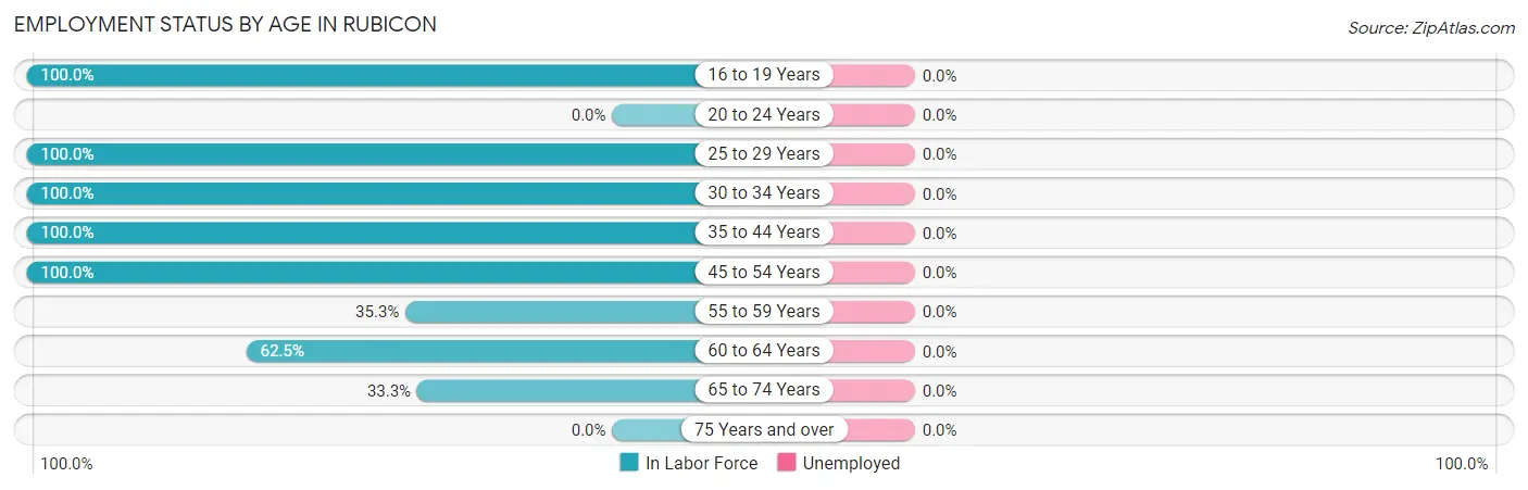 Employment Status by Age in Rubicon