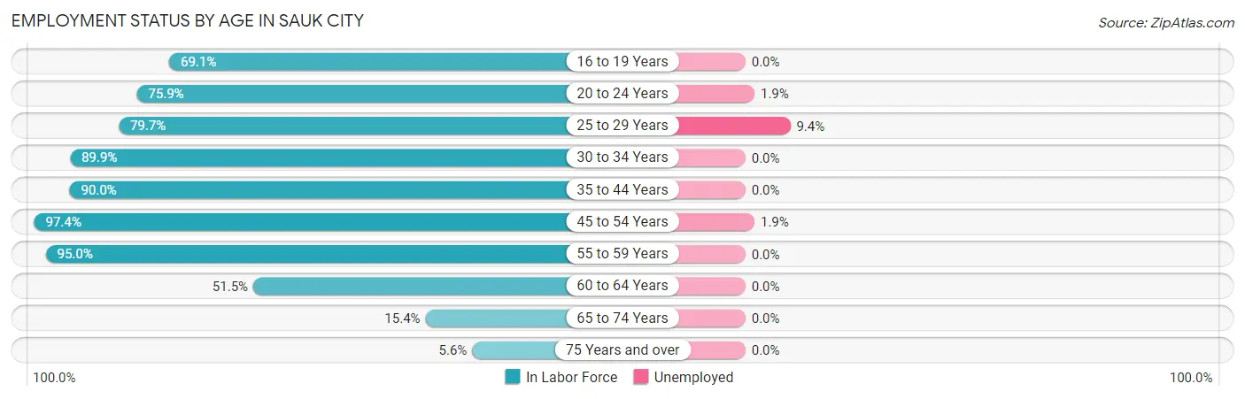 Employment Status by Age in Sauk City