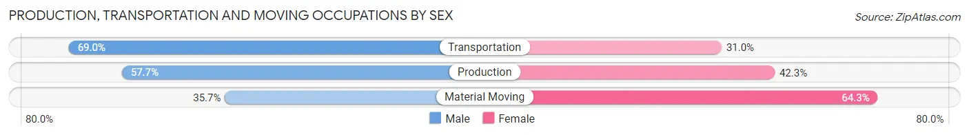Production, Transportation and Moving Occupations by Sex in Sauk City