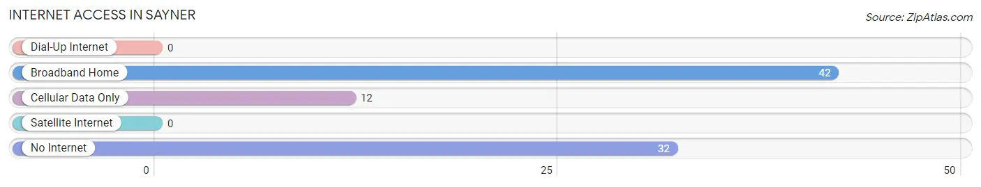 Internet Access in Sayner