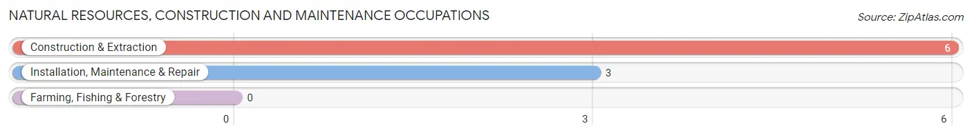 Natural Resources, Construction and Maintenance Occupations in Sayner