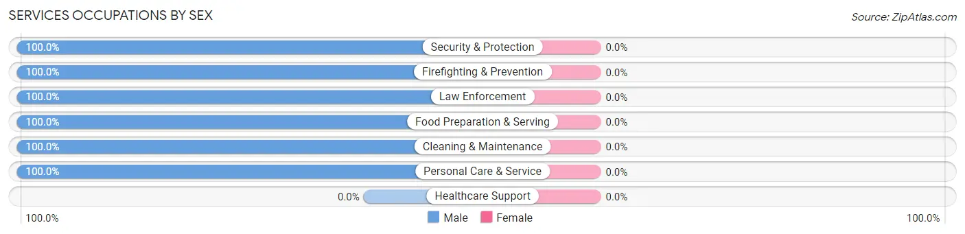 Services Occupations by Sex in Sayner