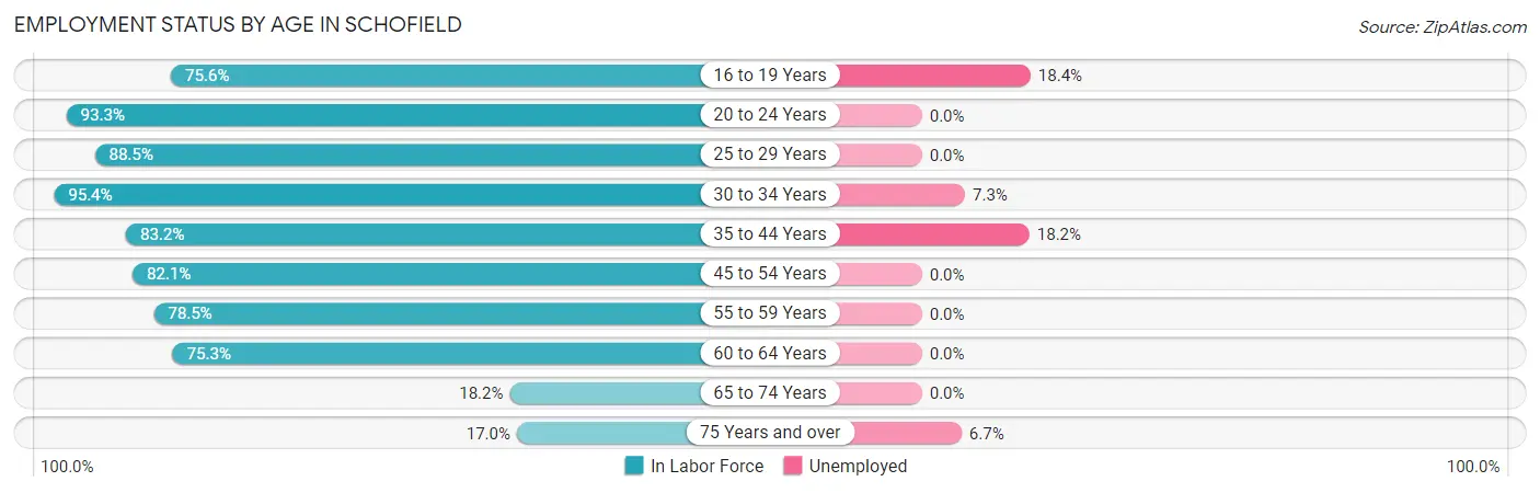 Employment Status by Age in Schofield
