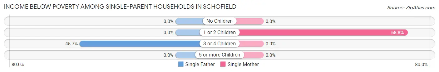Income Below Poverty Among Single-Parent Households in Schofield