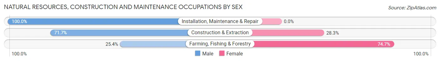 Natural Resources, Construction and Maintenance Occupations by Sex in Shawano