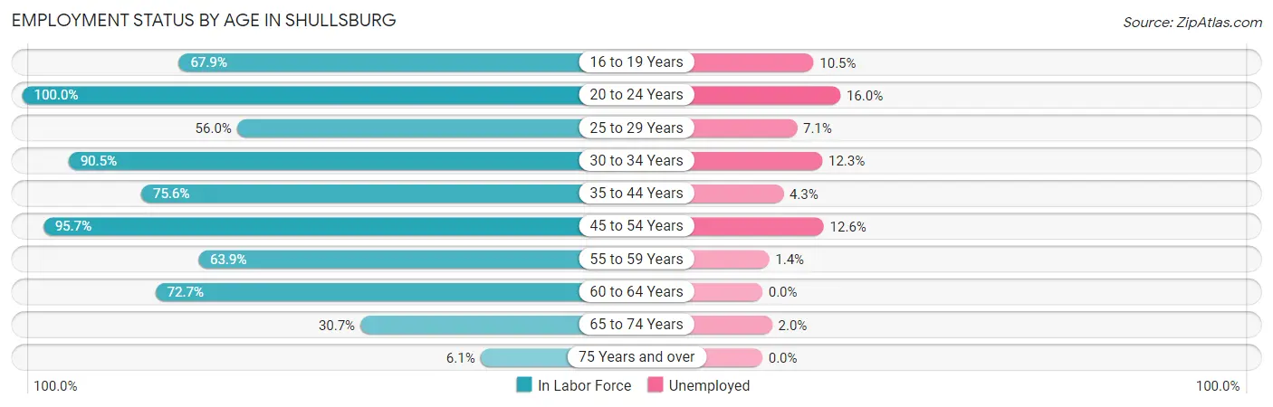 Employment Status by Age in Shullsburg
