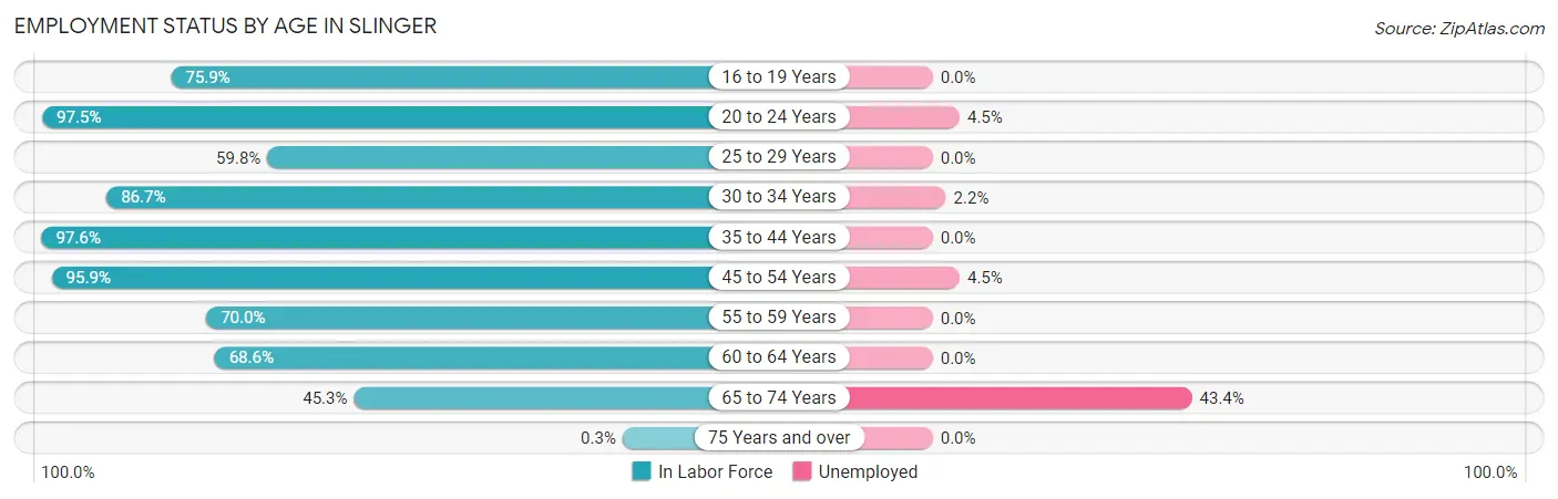 Employment Status by Age in Slinger
