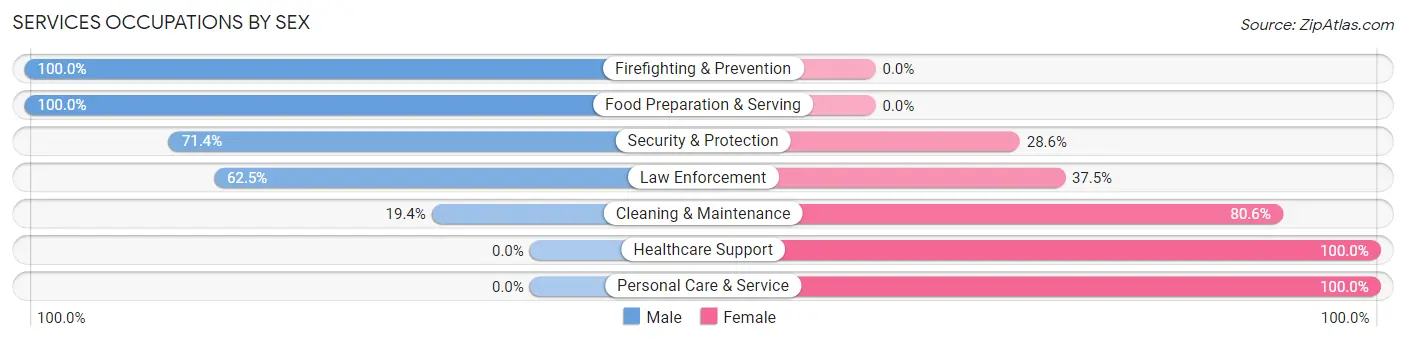 Services Occupations by Sex in Slinger