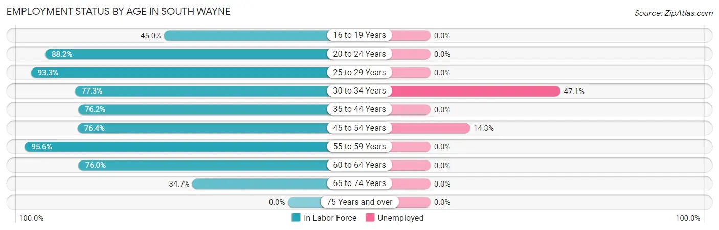 Employment Status by Age in South Wayne