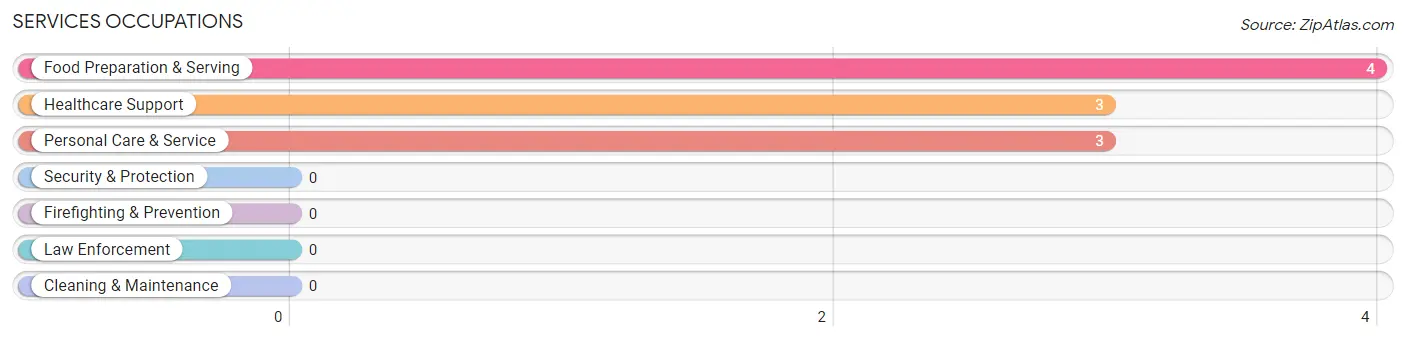 Services Occupations in South Wayne