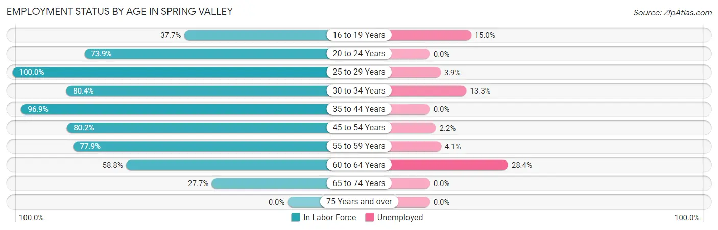 Employment Status by Age in Spring Valley