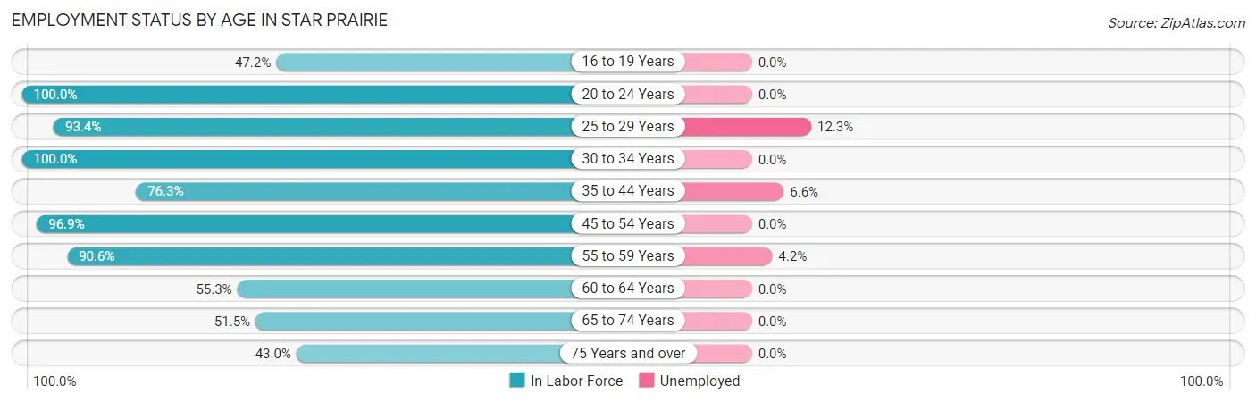 Employment Status by Age in Star Prairie