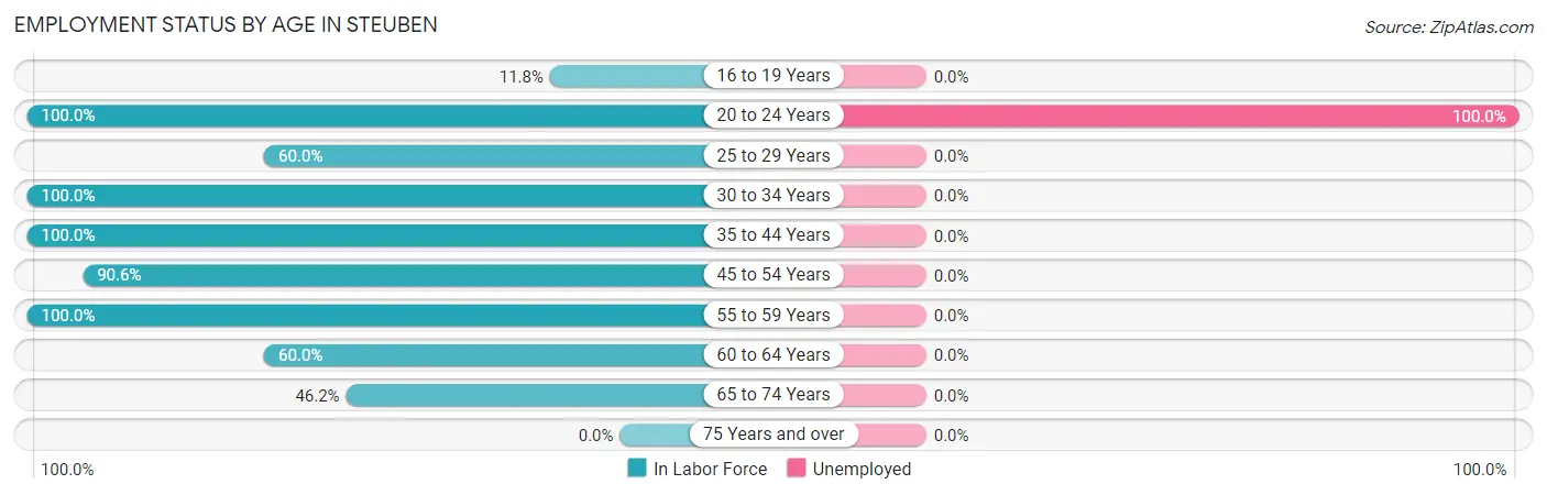 Employment Status by Age in Steuben