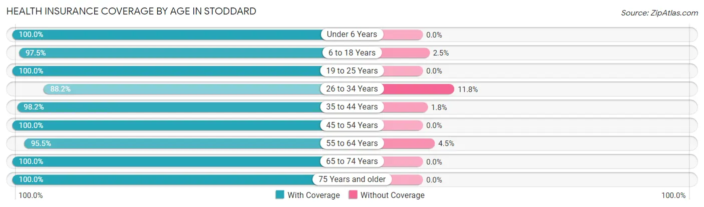 Health Insurance Coverage by Age in Stoddard