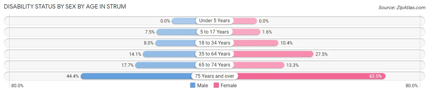 Disability Status by Sex by Age in Strum