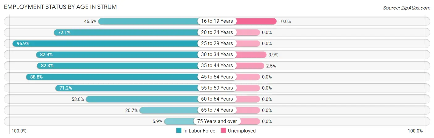 Employment Status by Age in Strum