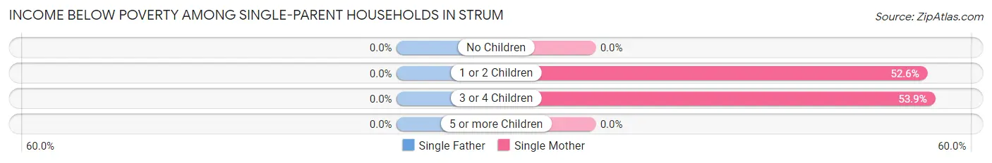 Income Below Poverty Among Single-Parent Households in Strum