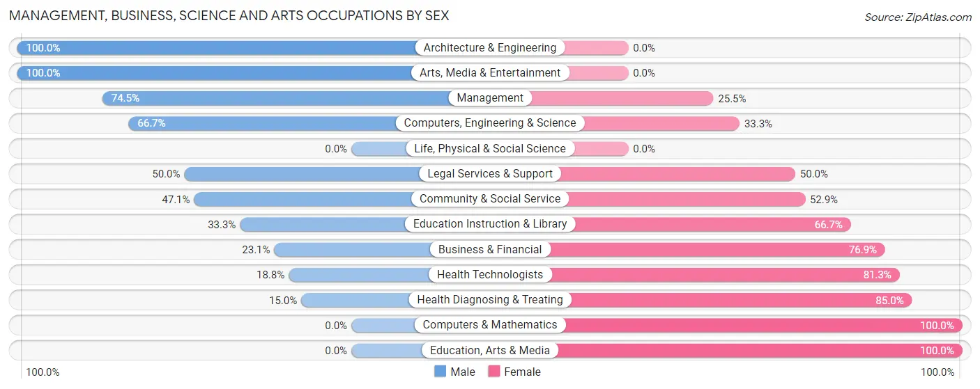 Management, Business, Science and Arts Occupations by Sex in Strum