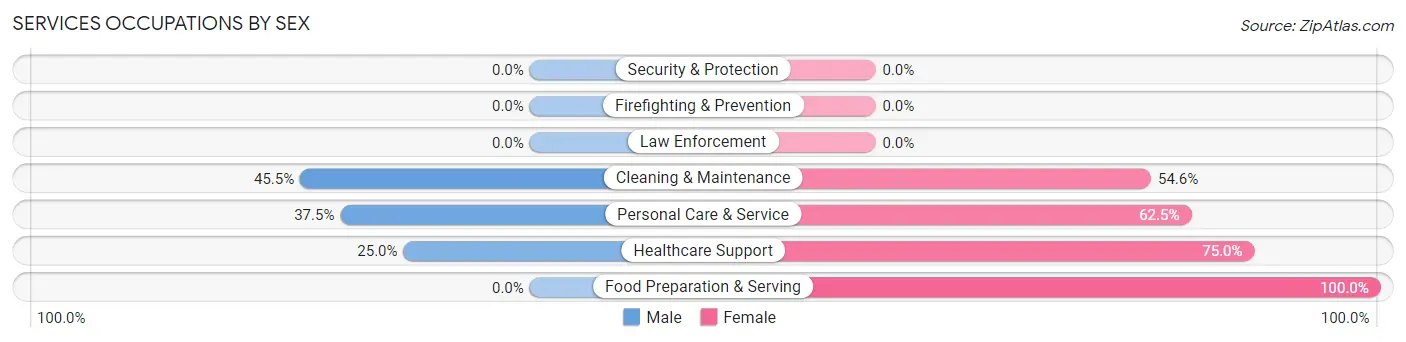 Services Occupations by Sex in Strum