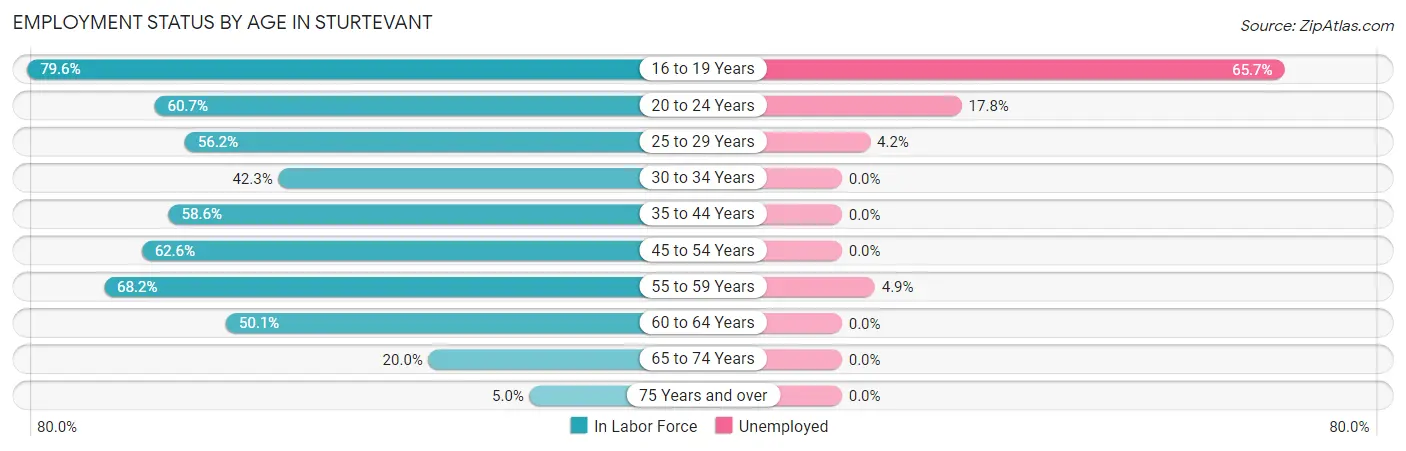 Employment Status by Age in Sturtevant