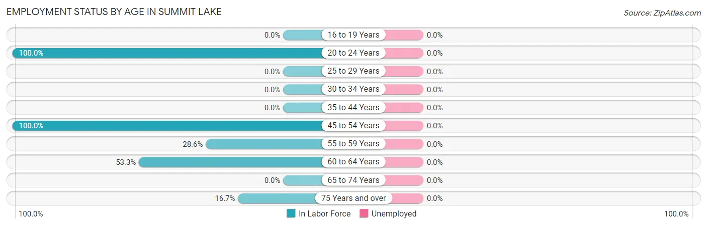 Employment Status by Age in Summit Lake
