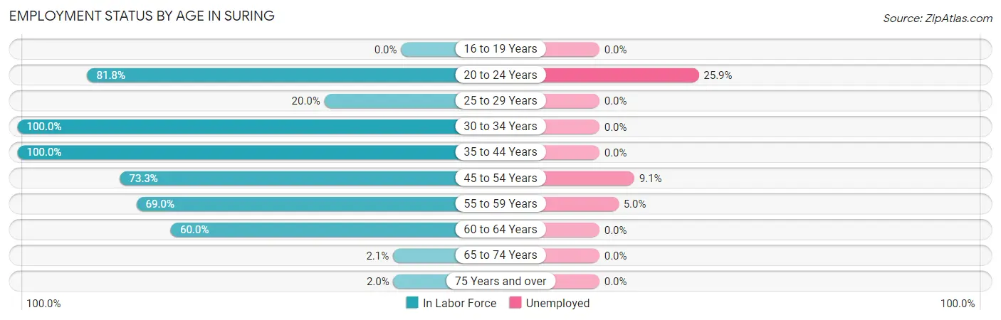 Employment Status by Age in Suring