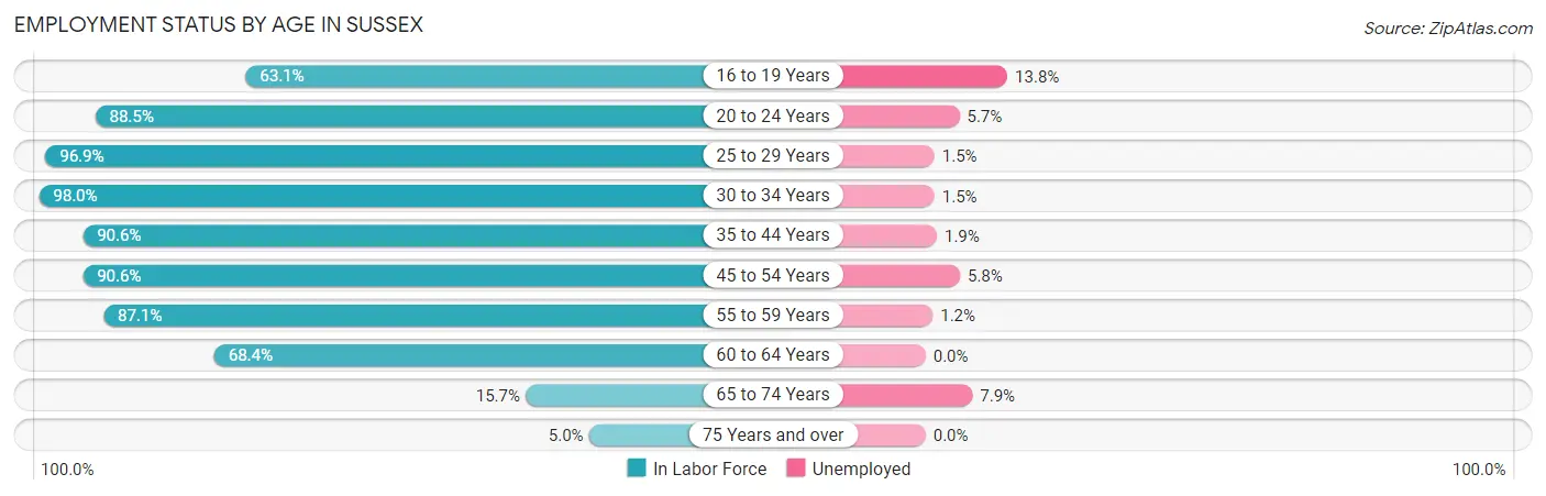 Employment Status by Age in Sussex