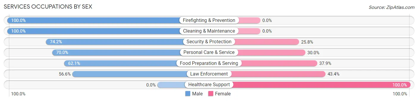 Services Occupations by Sex in Thiensville