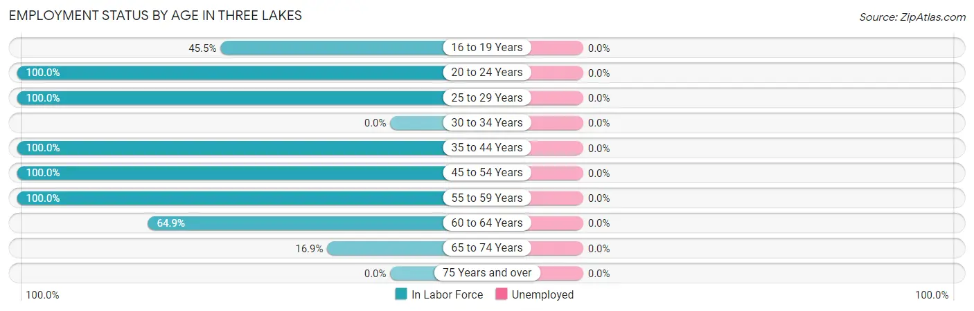 Employment Status by Age in Three Lakes