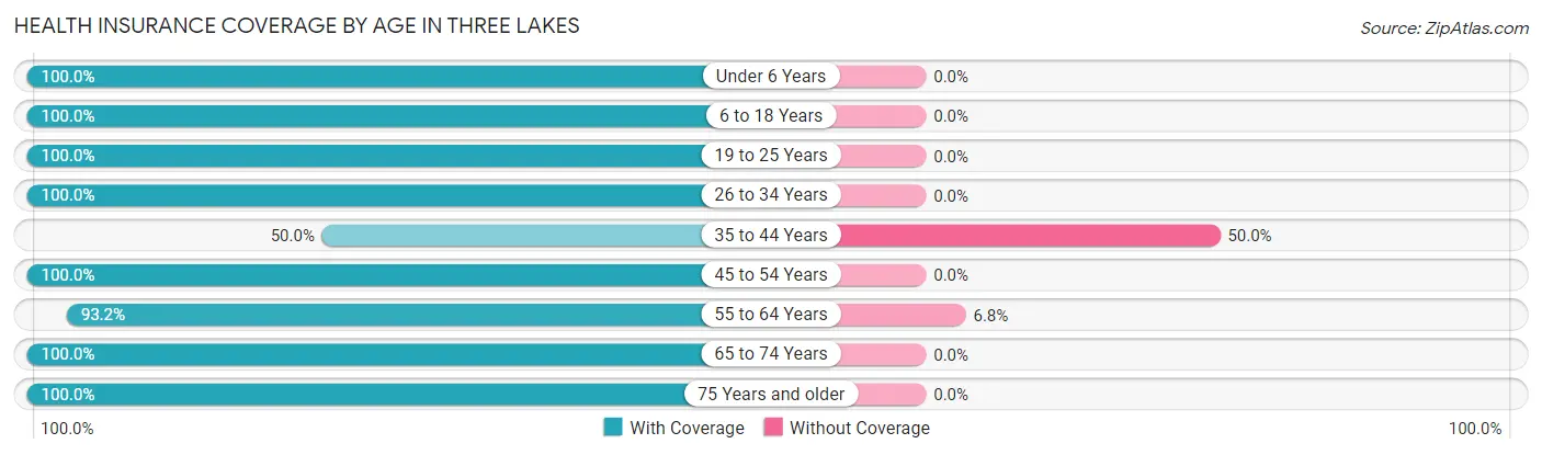 Health Insurance Coverage by Age in Three Lakes