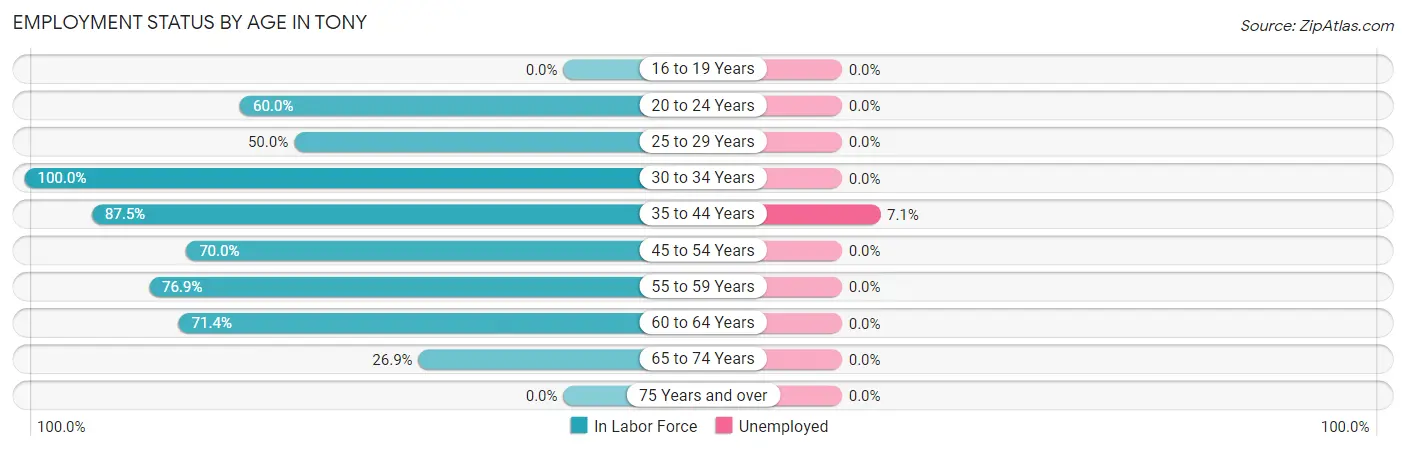 Employment Status by Age in Tony